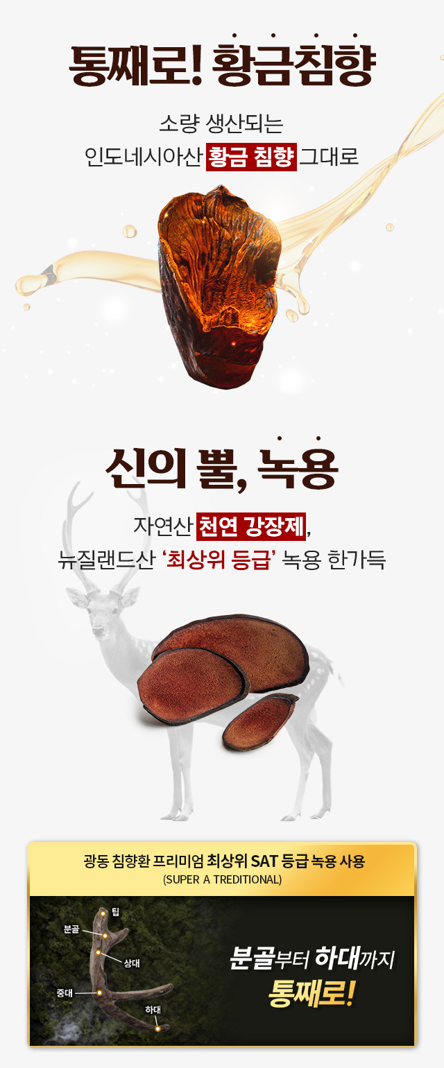 황금 침향과 신의 뿔 녹용